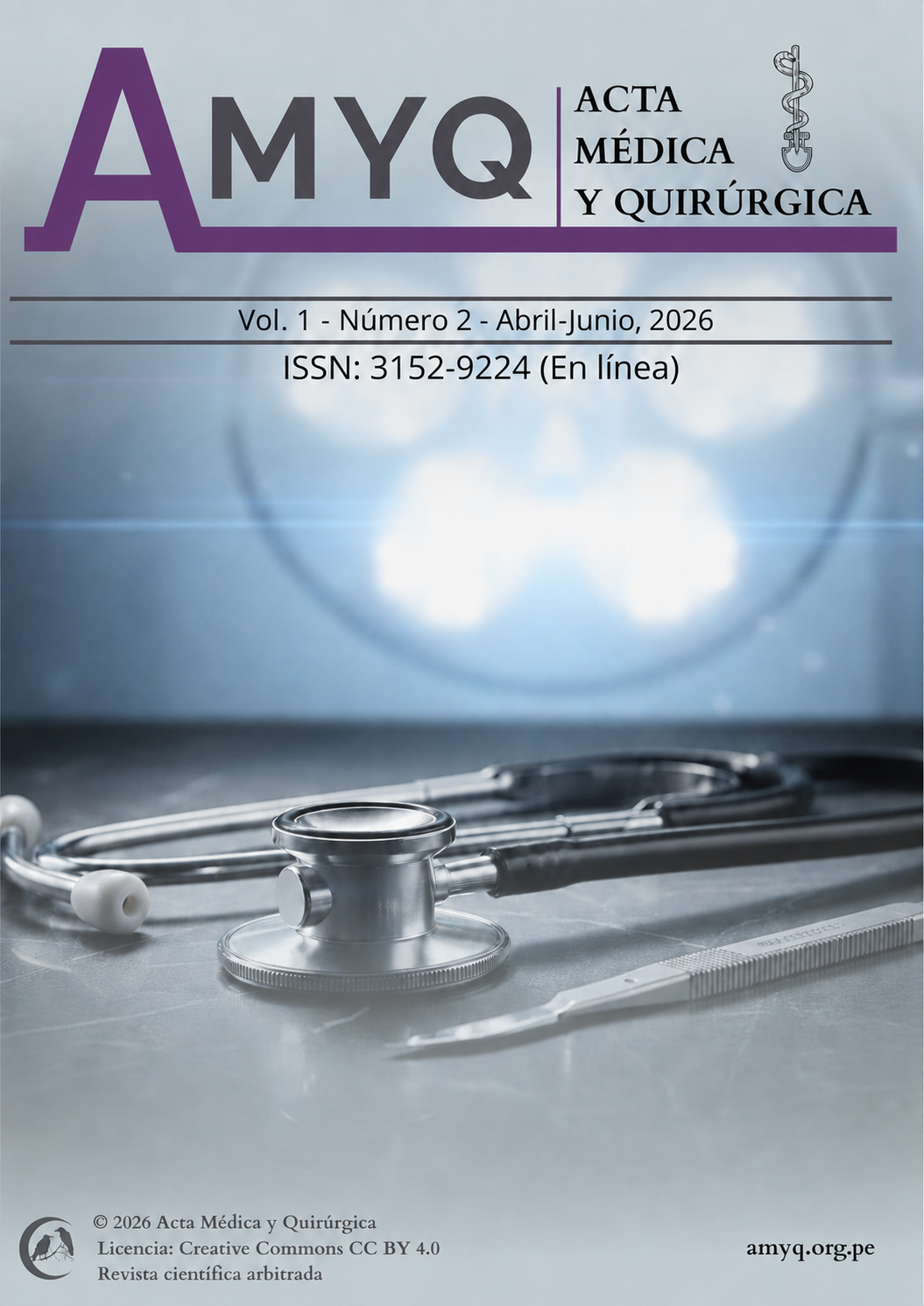 Portada de AMYQ, Volumen 1, Número 2